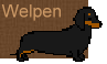 Welpen /